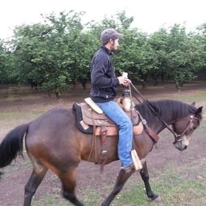 Meet your Posher, Modesto